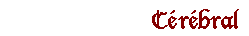 echecs