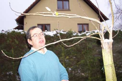 grlau